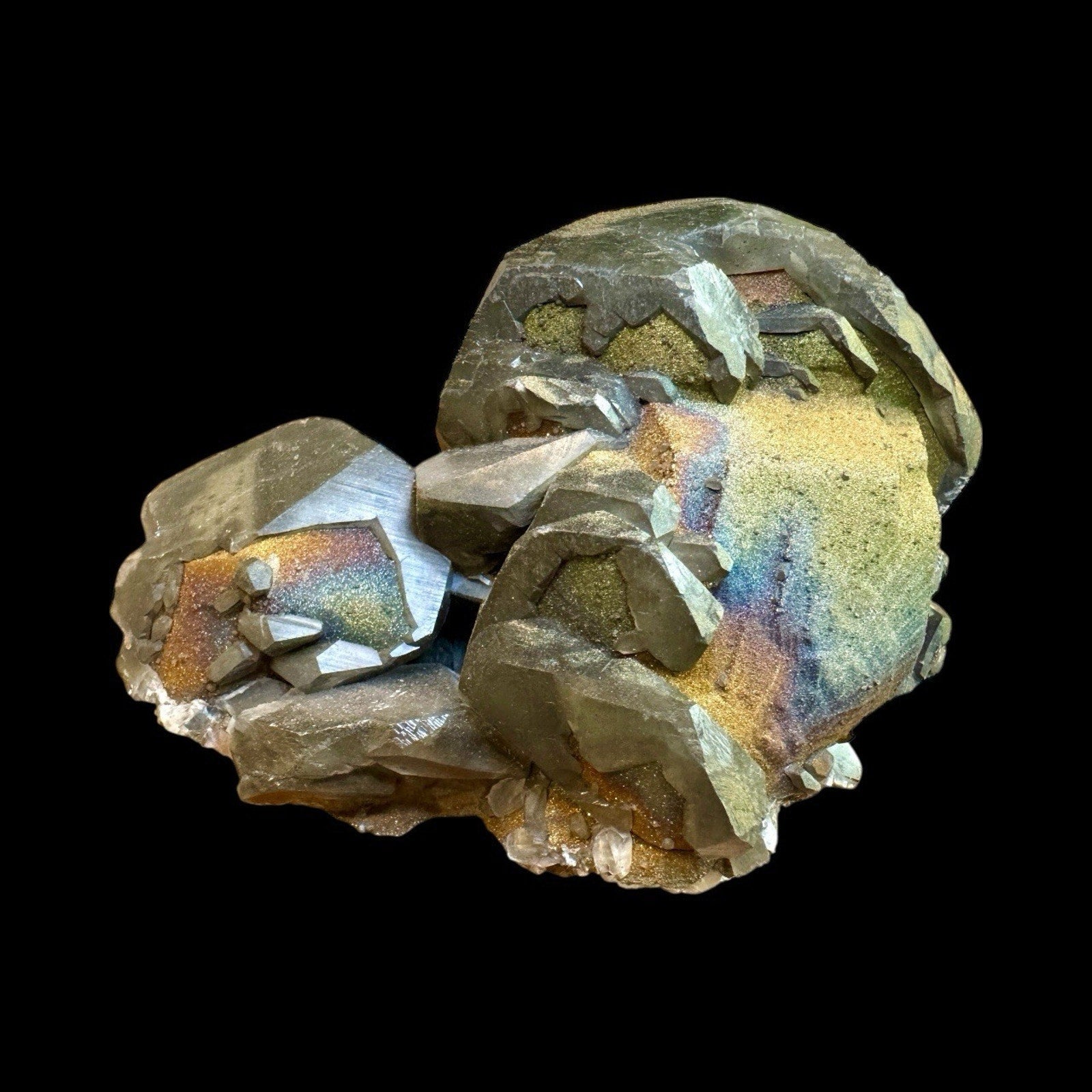 Specimens