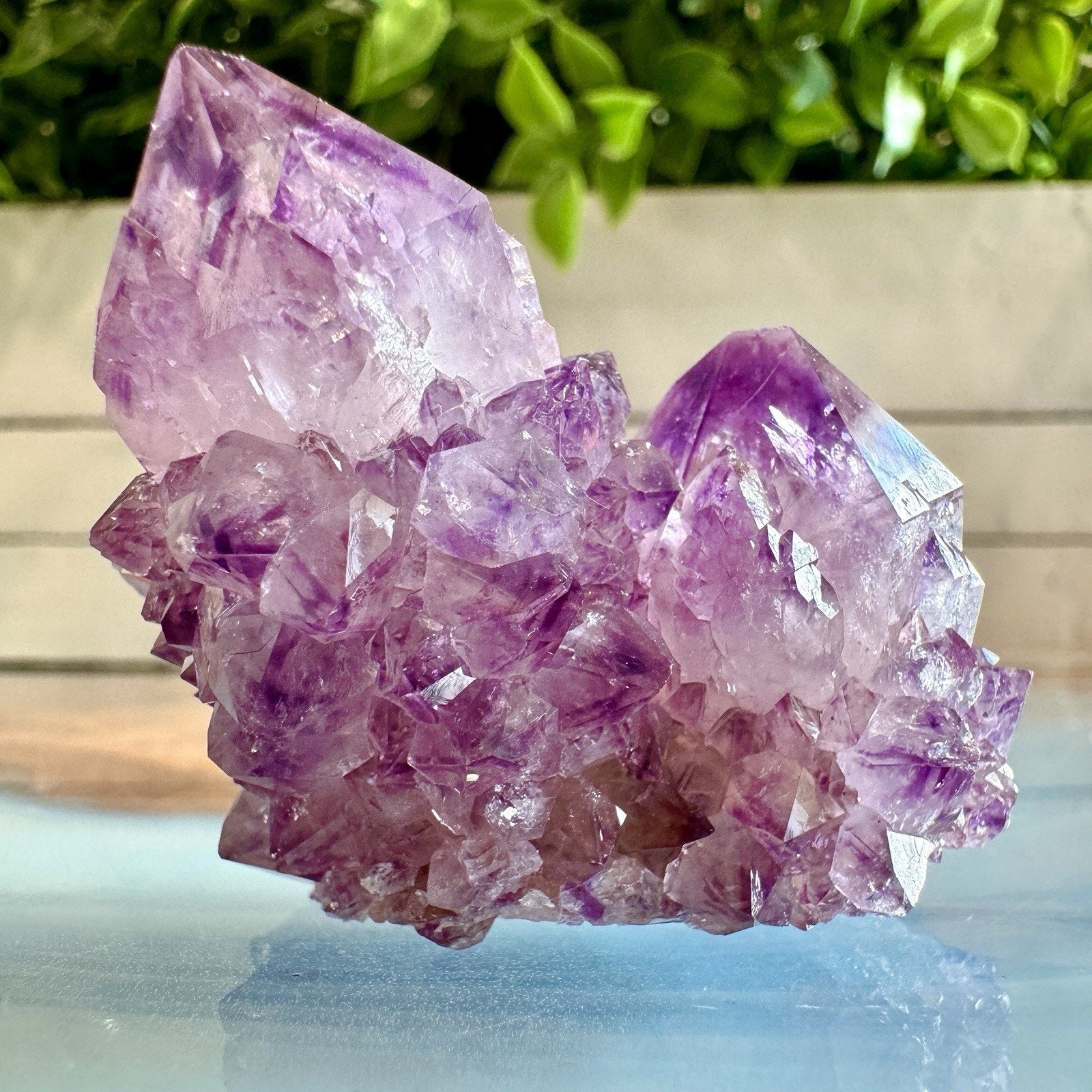 Amethyst Spirit Quartz (Cactus Quartz) Specimen – 43x42mm Mpumalanga South Africa