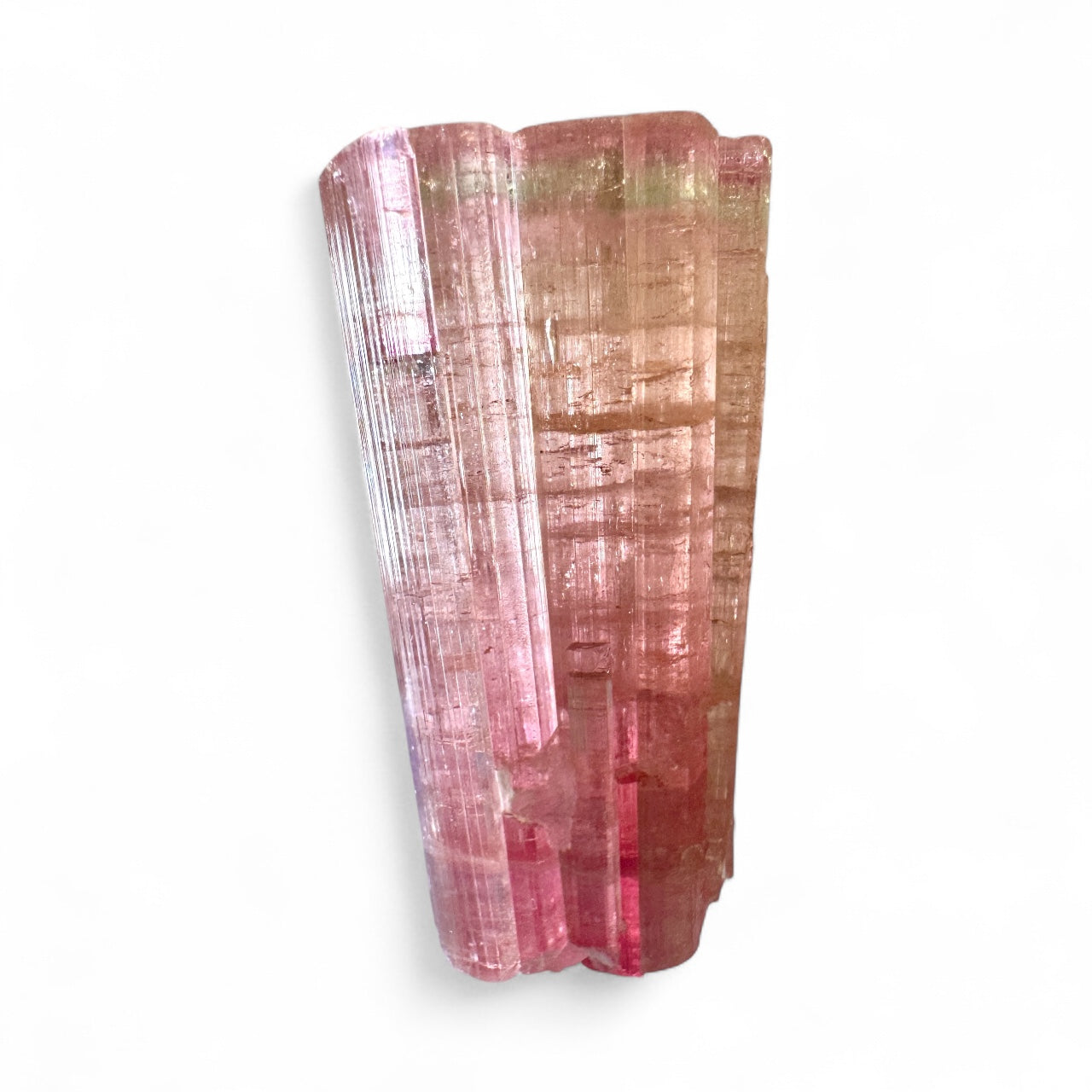 36g Bicolor Watermelon Tourmaline Crystal Specimen – Paprok Mine, Afghanistan