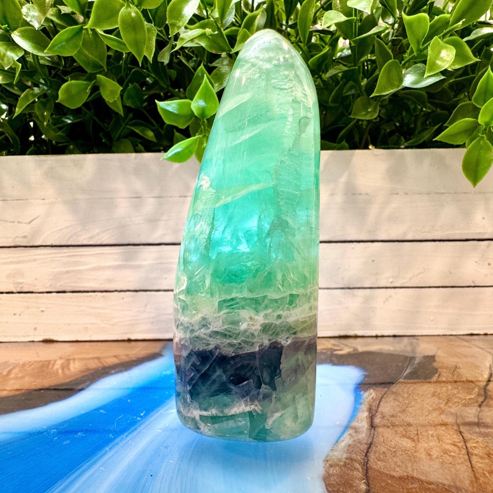 440 g Aqua Feather Fluorite Tower – Mexico – 120 mm