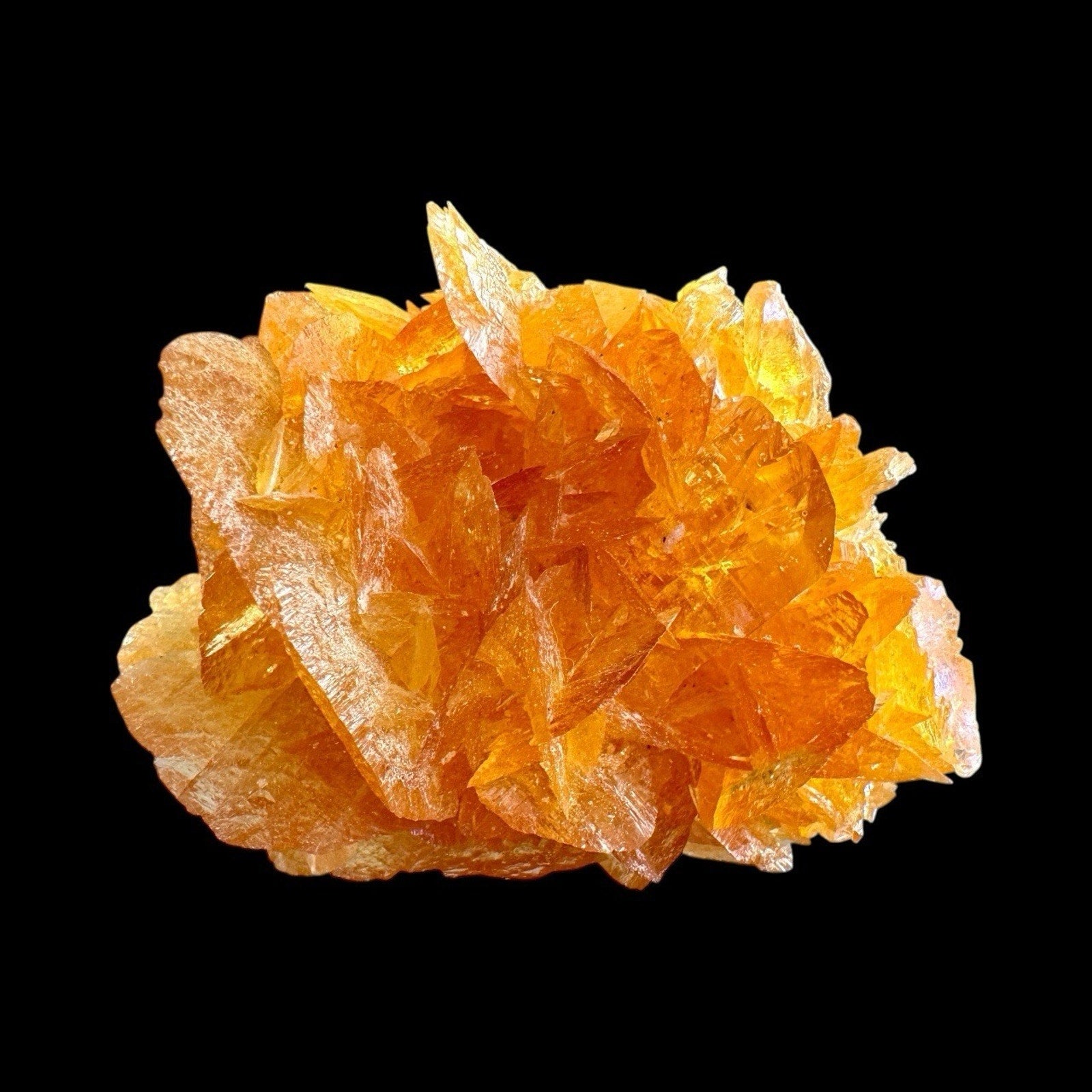 Golden Selenite Crystal Cluster – 80x58mm Las Salinas Peru