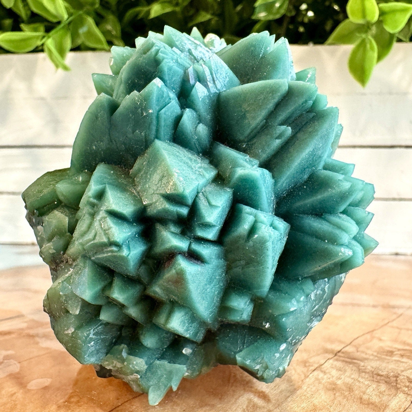 212g Teal-Green Apophyllite with Celadonite Specimen – Sakur, India